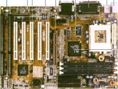 wpe3.jpg (10356 bytes)