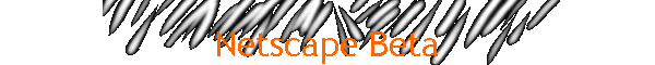 Netscape Beta